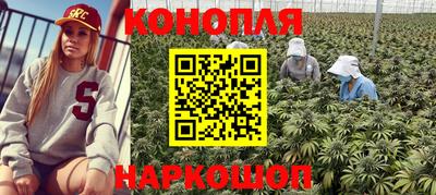 дурь Будённовск
